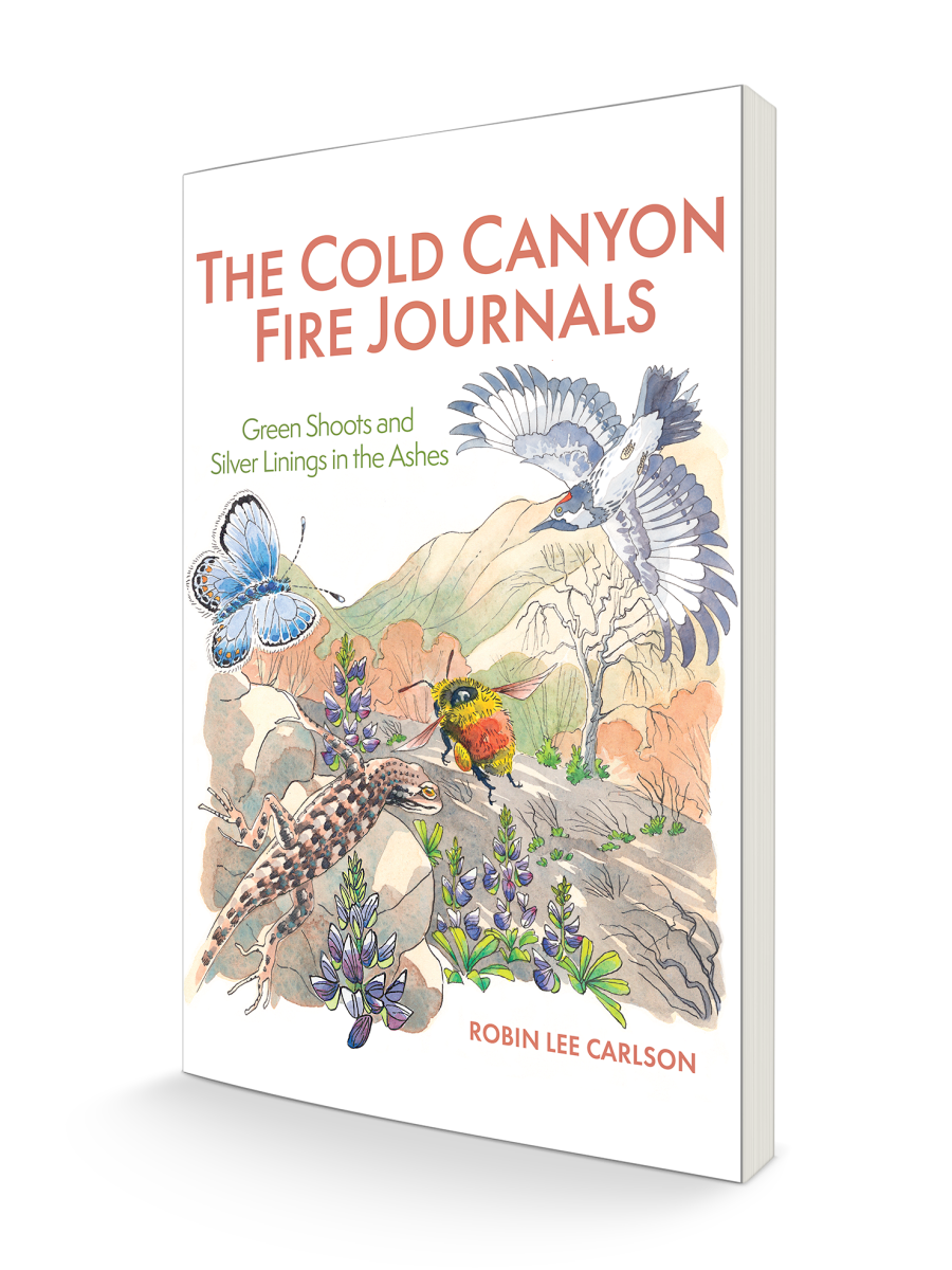The Cold Canyon Fire Journals has a Publication Date