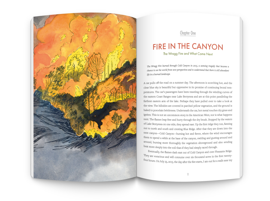 The Cold Canyon Fire Journals